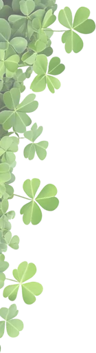clover